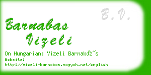 barnabas vizeli business card